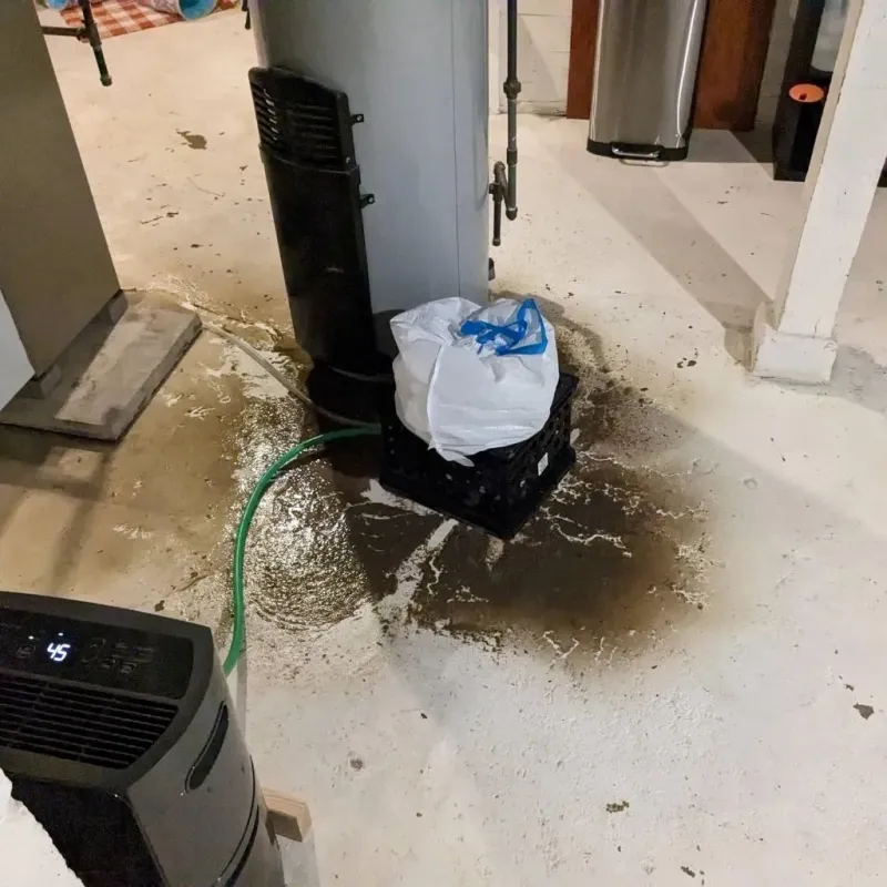 Sewage Backup Cleanup Service in Edwards County, TX